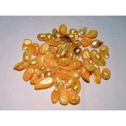 Nacre perle de culture perle percée irrégulière 6-20 mm teintée jaune orangé fil 49 perles gemme chakra os régénère