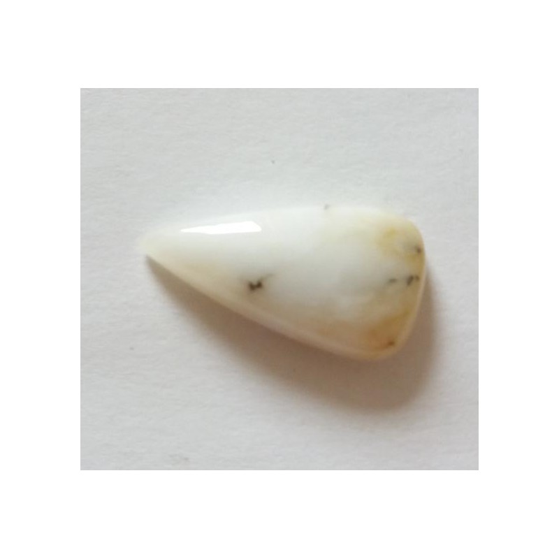 Agate dendrite cabochon pierre fine 21x11x8mm gemme multicolore reiki chakra plexus solaire racine coeur