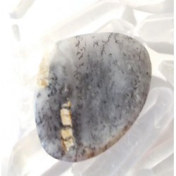 Agate dendrite cabochon pierre fine 35x28x6mm gemme multicolore reiki chakra plexus solaire racine coeur